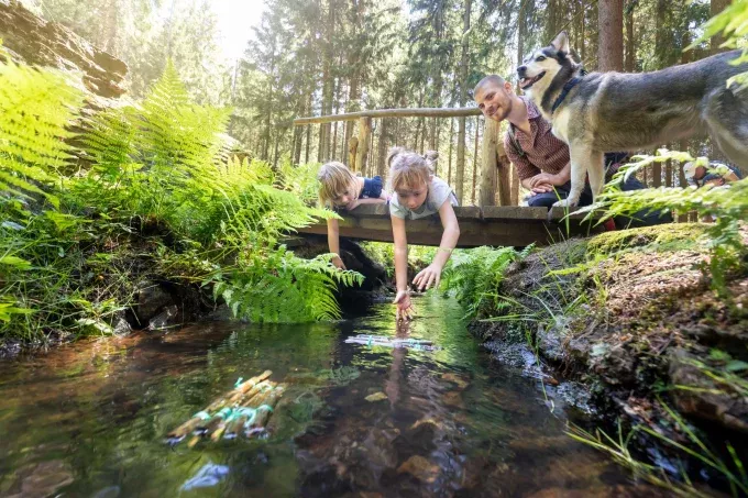 Kinder auf Holzbrücke über Bach im Wald